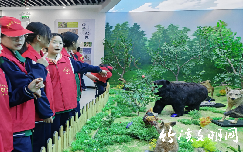 中峰镇中心学校组织学生到龙湖湿地动植物标本展馆进行参观学习(1).png